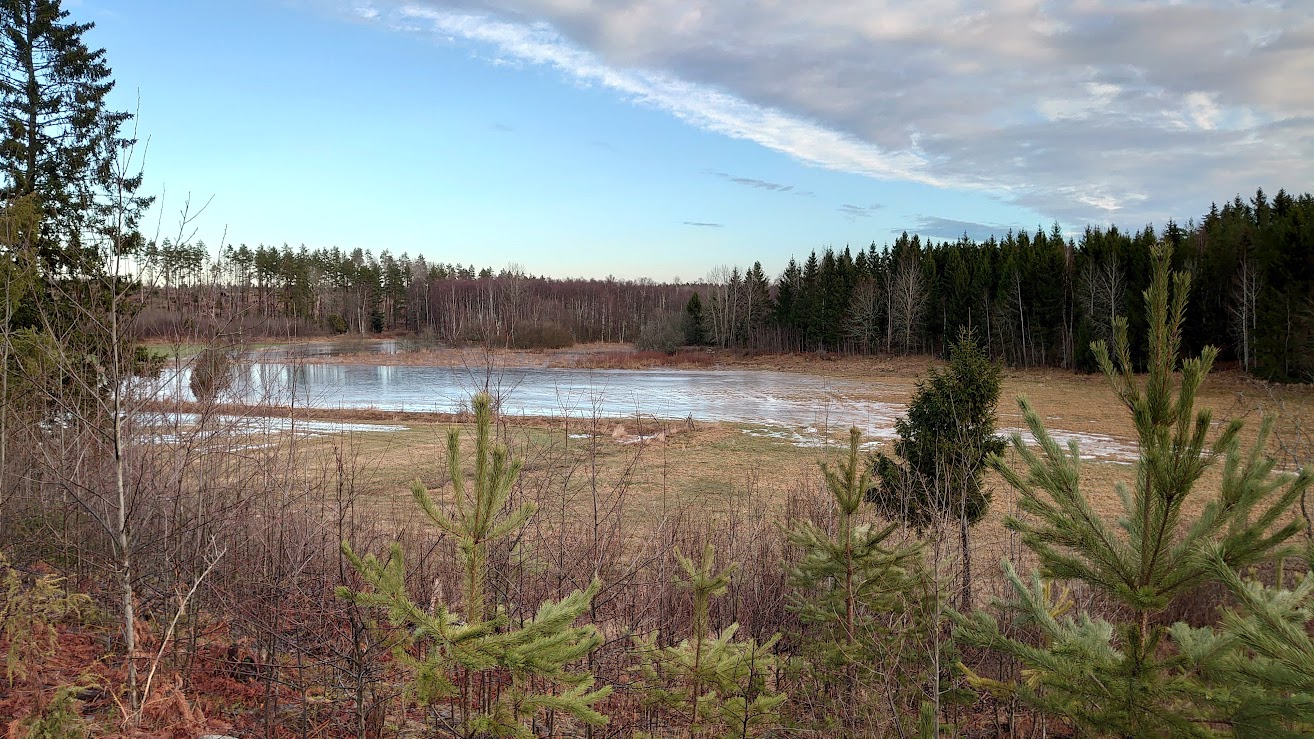 Våtmark