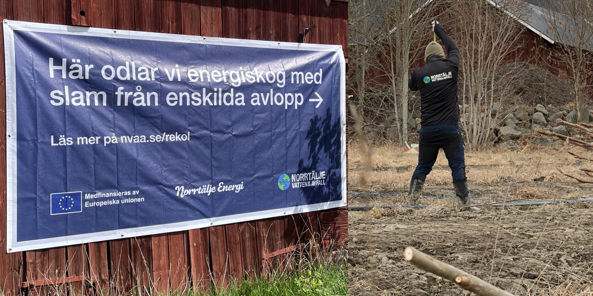 En banderoll med texten "Här odlar vi energiskog med slam från enskilda avlopp" och en person med ryggen mot kameran som planterar träd.
